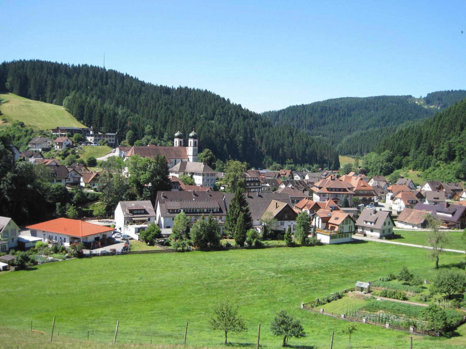 Hotel Restaurant Albans Sonne Bad Rippoldsau-Schapbach Exteriér fotografie